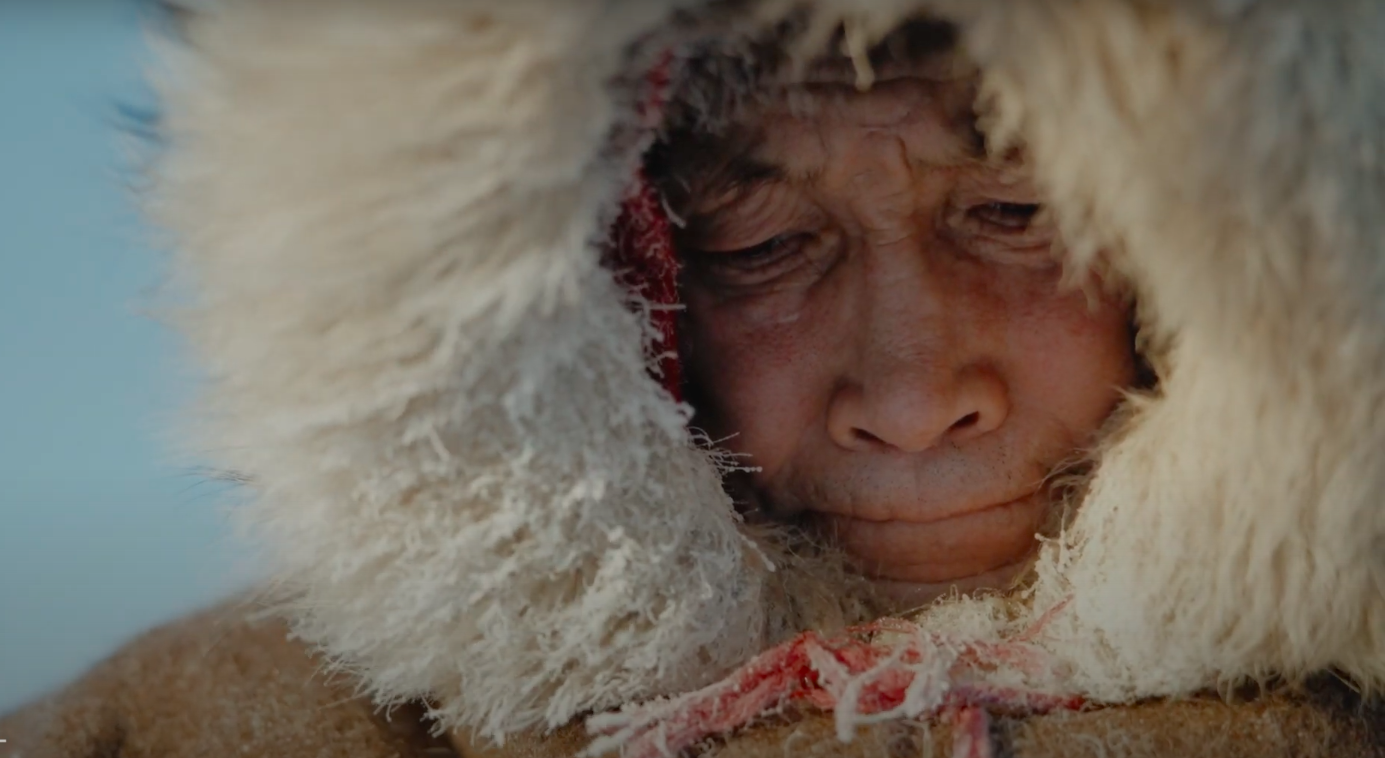 Voices Of The Arctic